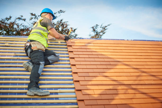 Best Skylight Installation and Repair  in Dupont, WA
